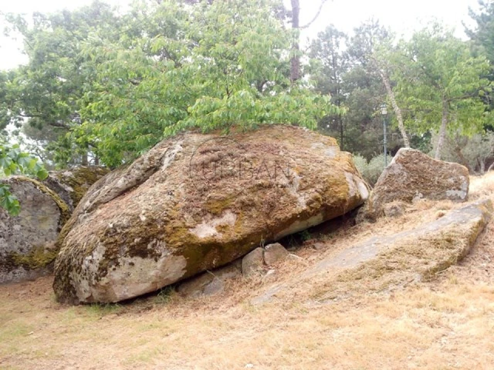 Quinta para Venda em Santos Evos Foto 7