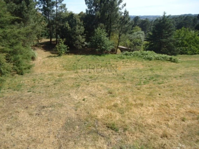 Quinta para Venda em Santos Evos Foto 3