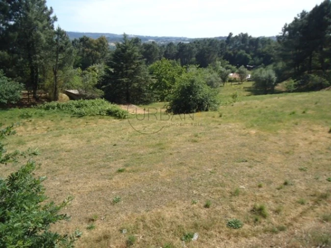 Quinta para Venda em Santos Evos