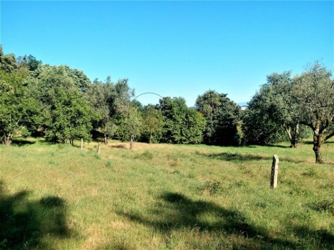 Quinta para Venda em Santos Evos Foto 4