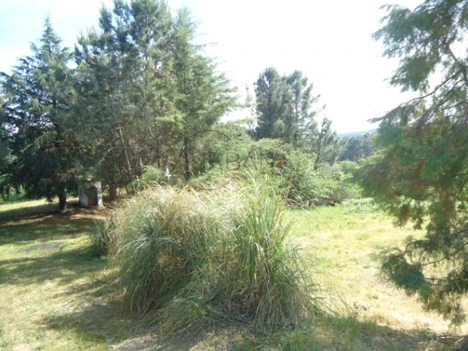 Quinta para Venda em Santos Evos Foto 9