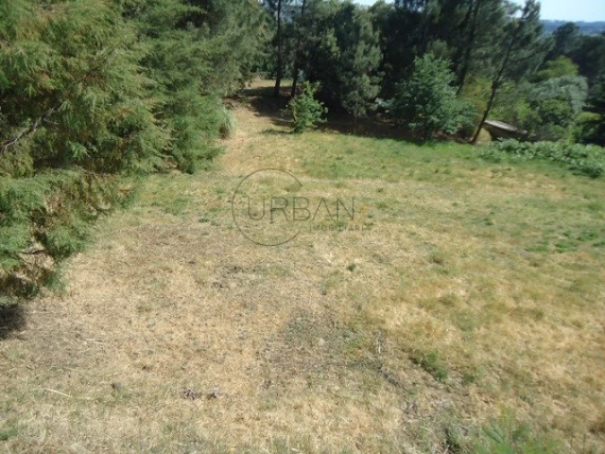 Quinta para Venda em Santos Evos Foto 10