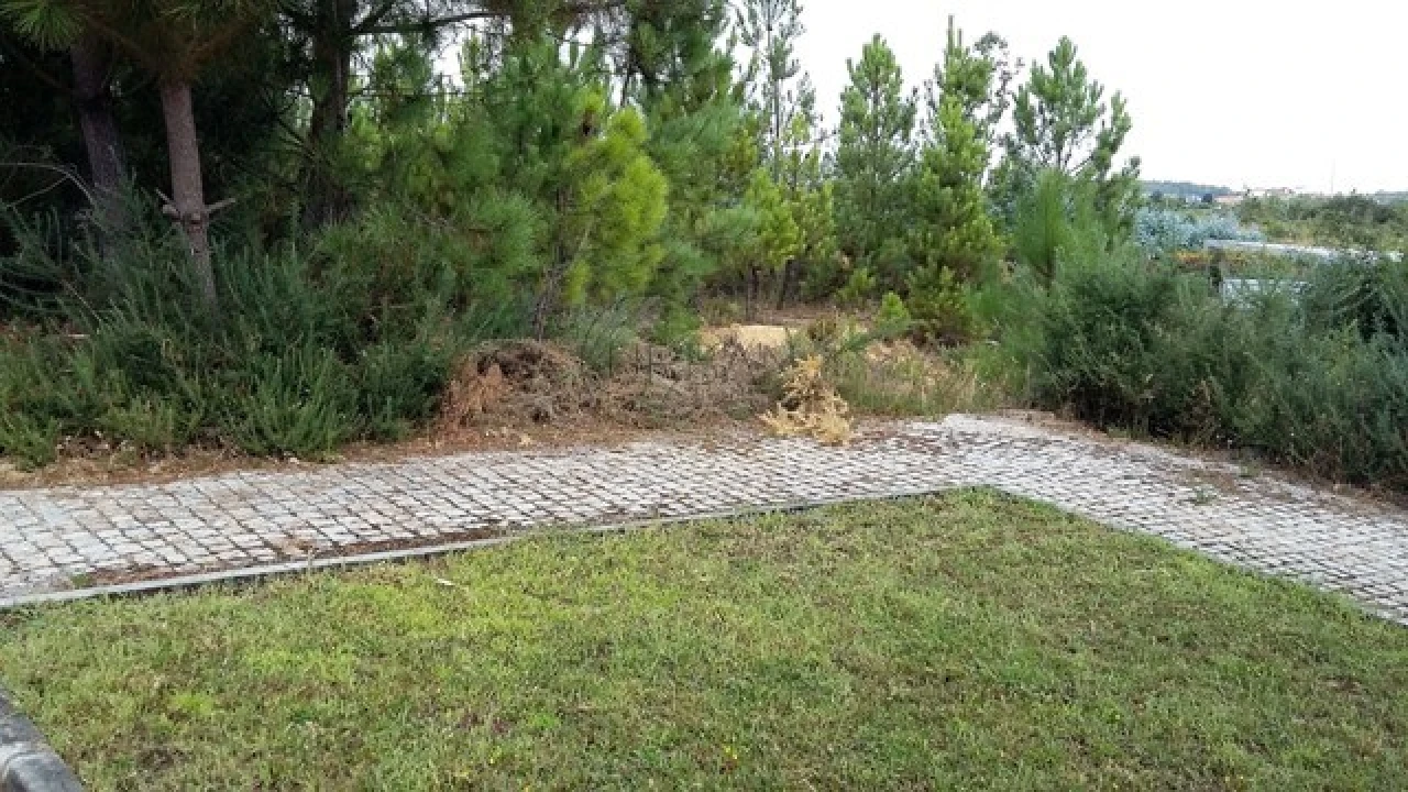 Terreno para Venda em Mundão Foto 3