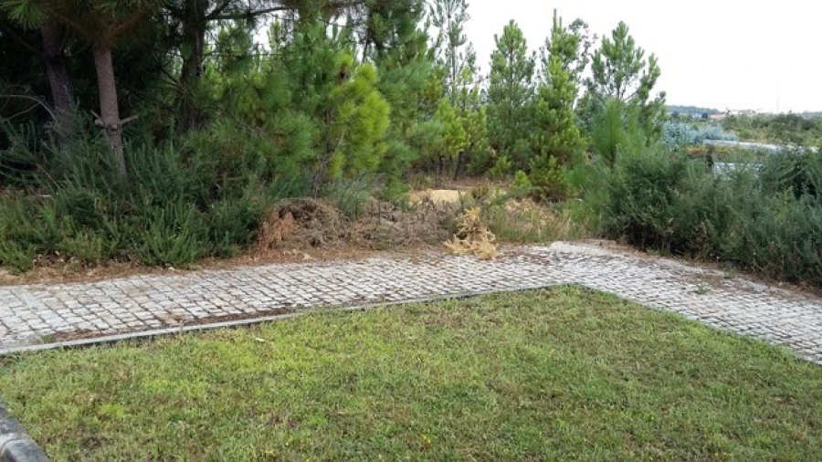 Terreno para Venda em Mundão Foto 3