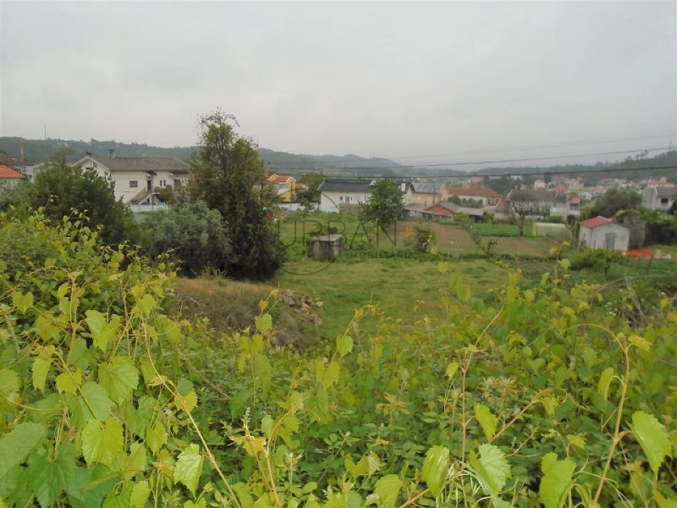 Terreno para Venda em Campo Foto 2
