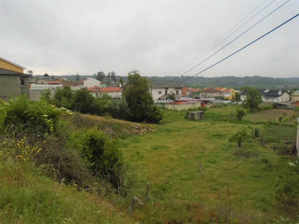 Terreno para Venda em Campo Foto 3