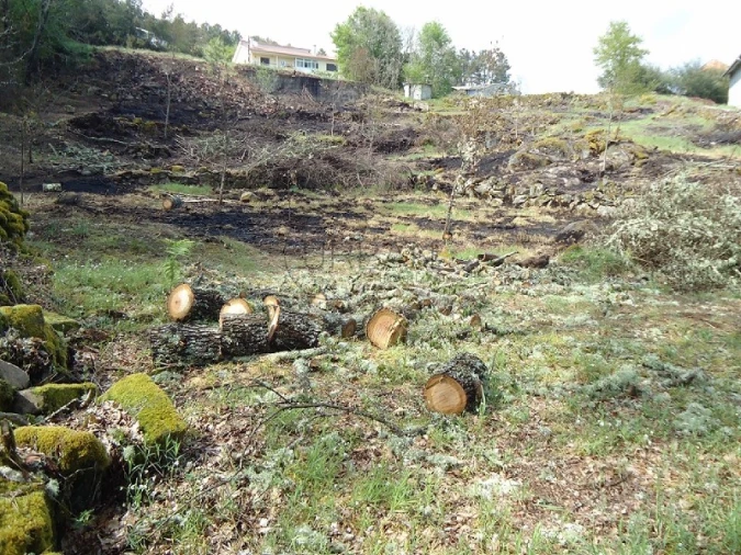 Terreno para Venda em Calde