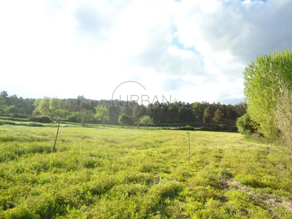 Quinta para Venda em Mangualde, Mesquitela e Cunha Alta Foto 1