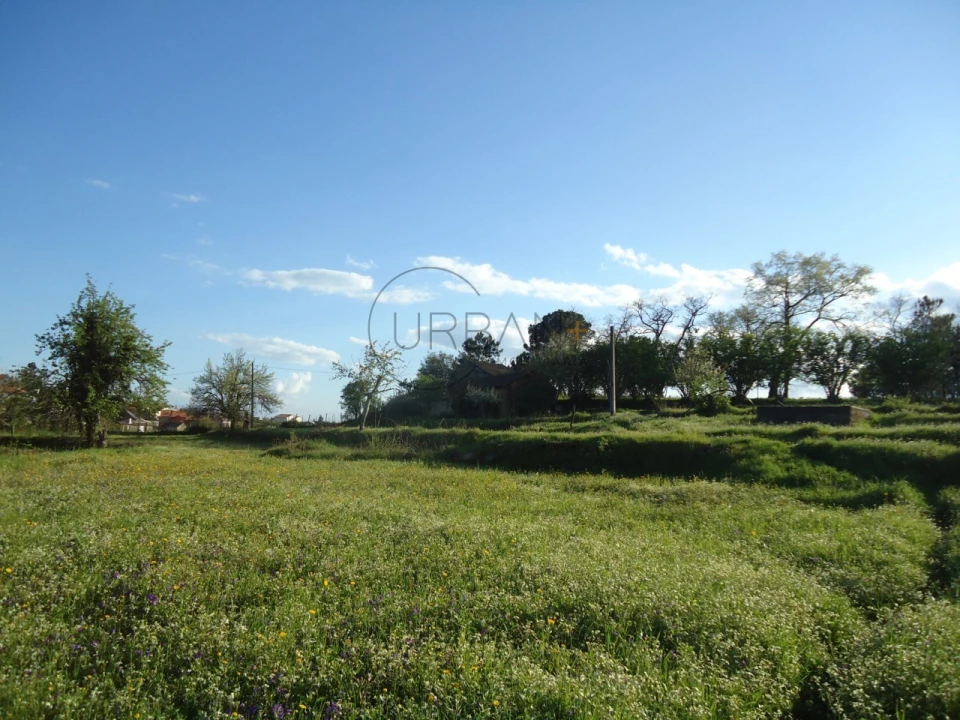 Quinta para Venda em Mangualde, Mesquitela e Cunha Alta Foto 4