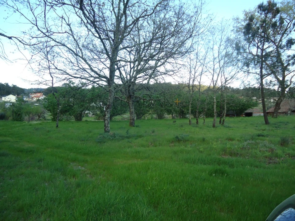 Quinta para Venda em Mangualde, Mesquitela e Cunha Alta Foto 6