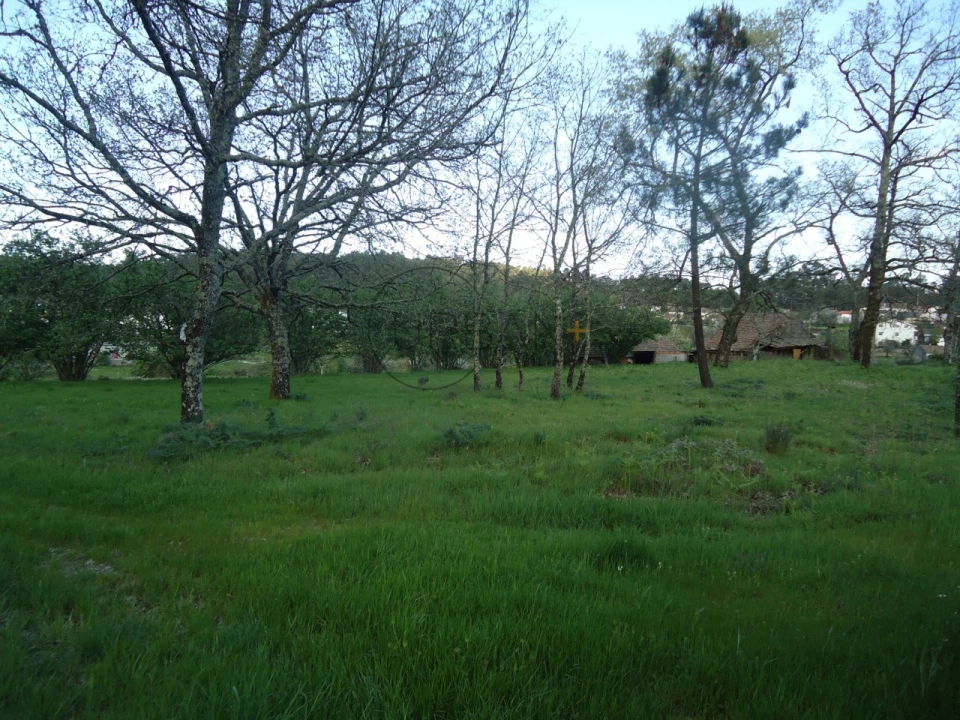 Quinta para Venda em Mangualde, Mesquitela e Cunha Alta Foto 7