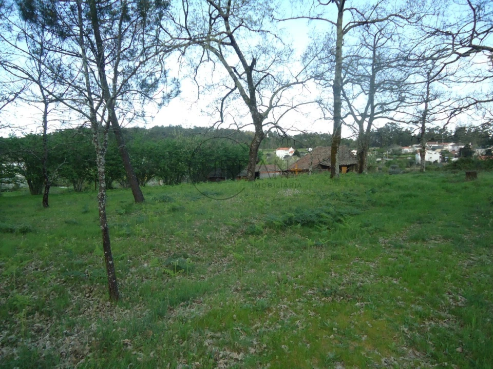 Quinta para Venda em Mangualde, Mesquitela e Cunha Alta Foto 10