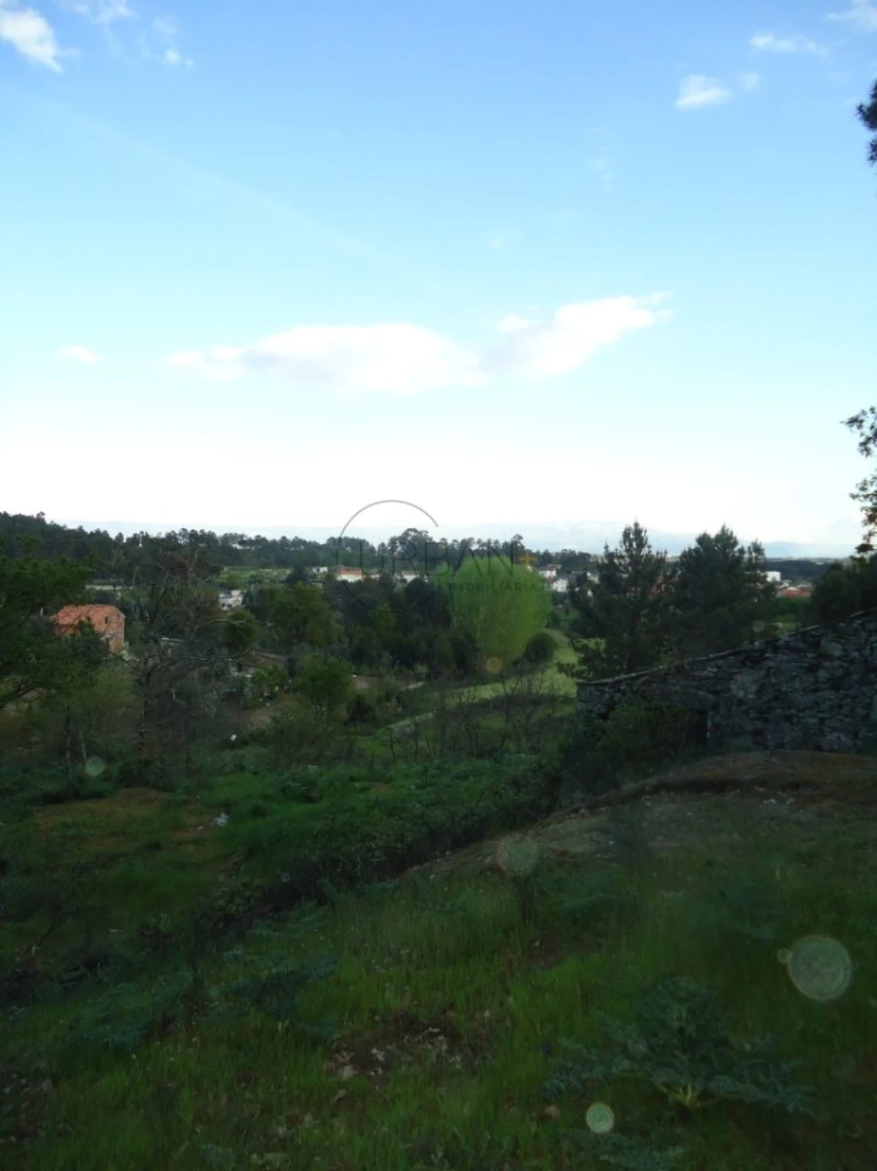 Quinta para Venda em Mangualde, Mesquitela e Cunha Alta Foto 18