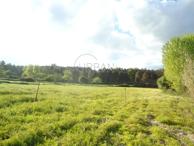 Quinta para Venda em Mangualde, Mesquitela e Cunha Alta
