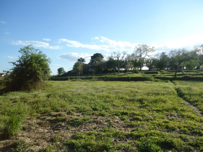 Quinta para Venda em Mangualde, Mesquitela e Cunha Alta Foto 2