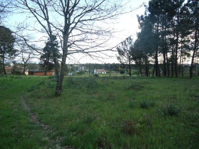 Quinta para Venda em Mangualde, Mesquitela e Cunha Alta Foto 9