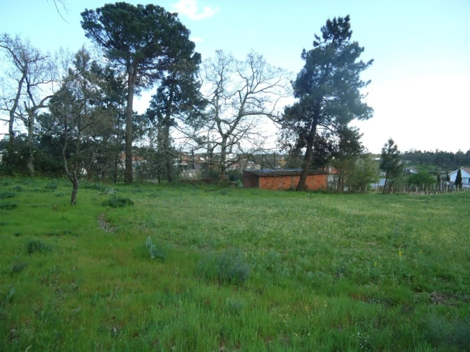 Quinta para Venda em Mangualde, Mesquitela e Cunha Alta Foto 12