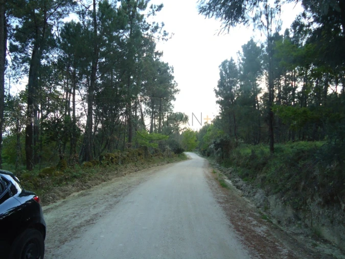Quinta para Venda em Mangualde, Mesquitela e Cunha Alta Foto 19