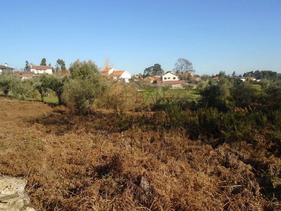 Terreno para Venda em Cavernães Foto 2