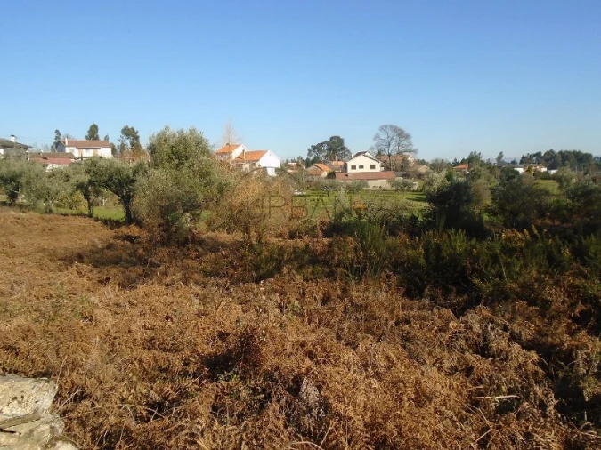 Terreno para Venda em Cavernães Foto 2
