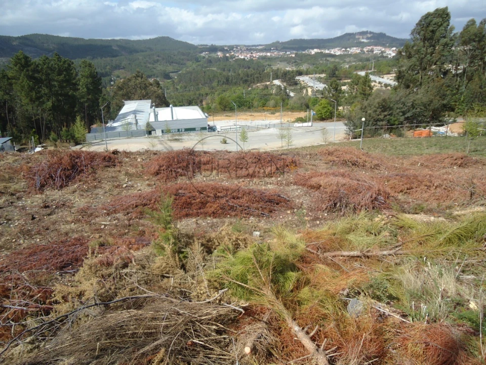 Terreno para Venda em Orgens Foto 1