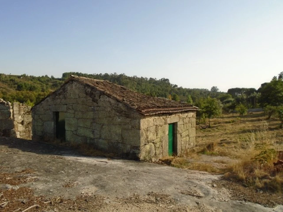 Quinta para Venda em Faíl e Vila Chã de Sá Foto 1