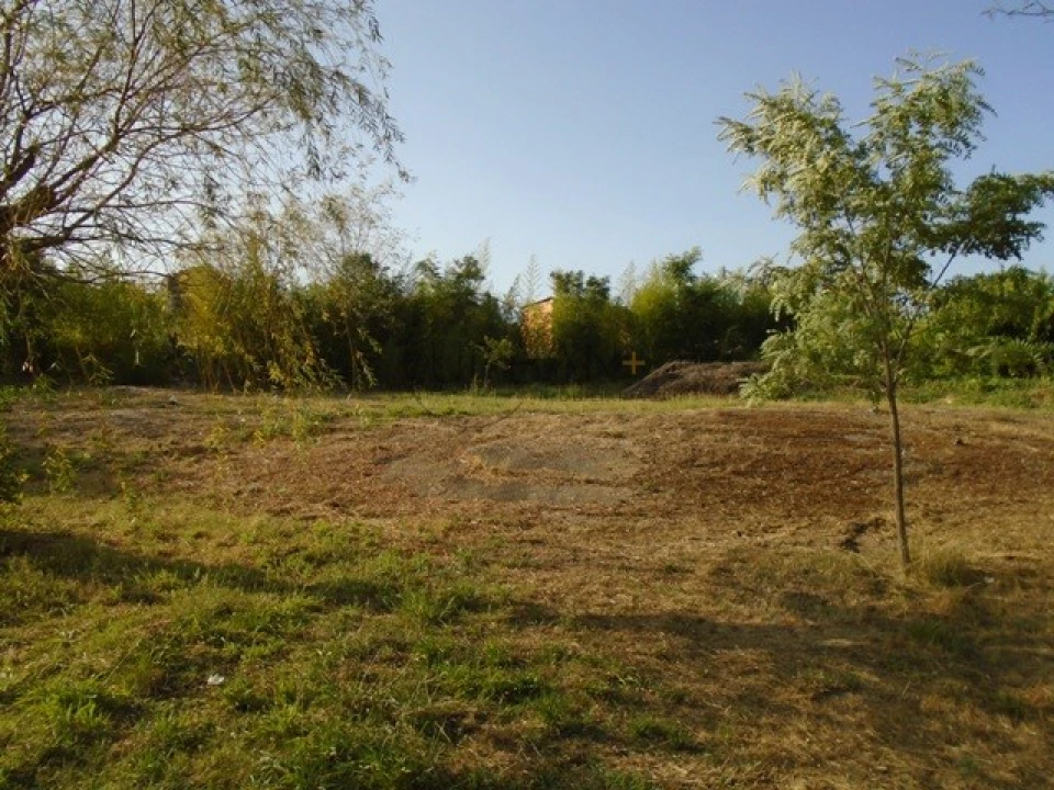 Quinta para Venda em Faíl e Vila Chã de Sá Foto 3