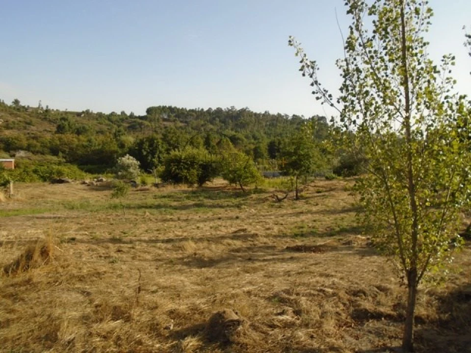 Quinta para Venda em Faíl e Vila Chã de Sá Foto 4