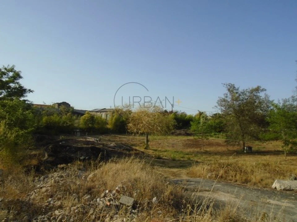 Quinta para Venda em Faíl e Vila Chã de Sá Foto 6