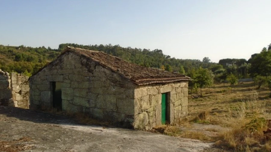 Quinta para Venda em Faíl e Vila Chã de Sá