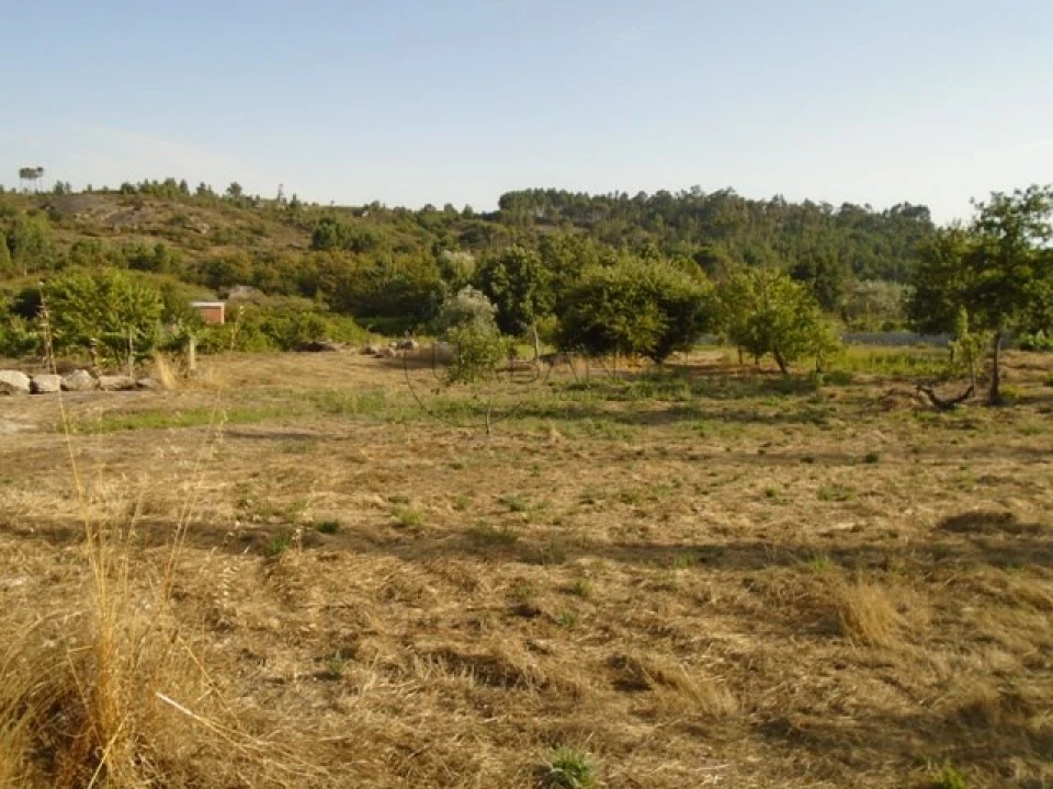 Terreno para Venda em Faíl e Vila Chã de Sá Foto 2
