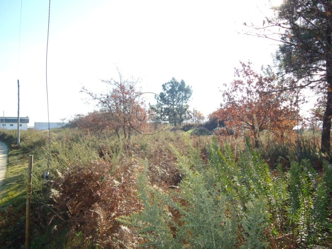 Terreno para Venda em Fragosela Foto 2