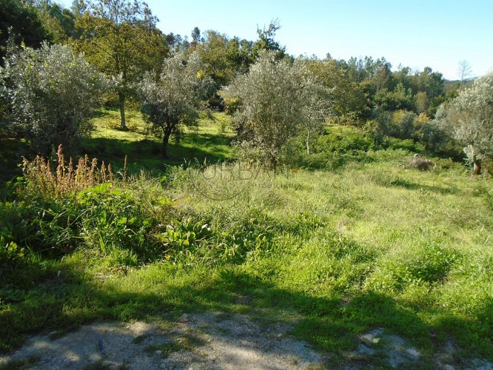 Terreno para Venda em Orgens Foto 2