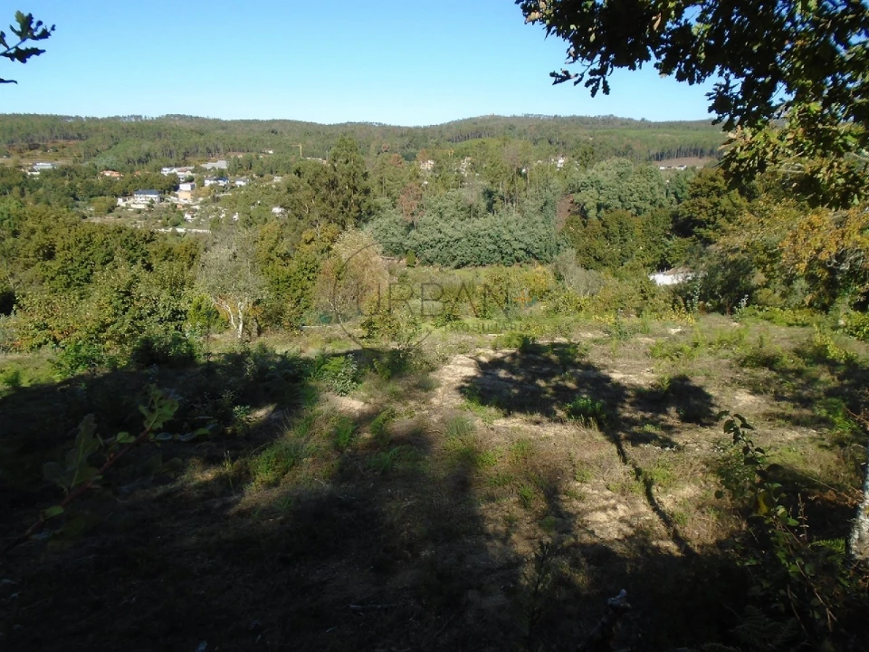 Terreno para Venda em Orgens Foto 5