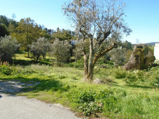 Terreno para Venda em Orgens Foto 3