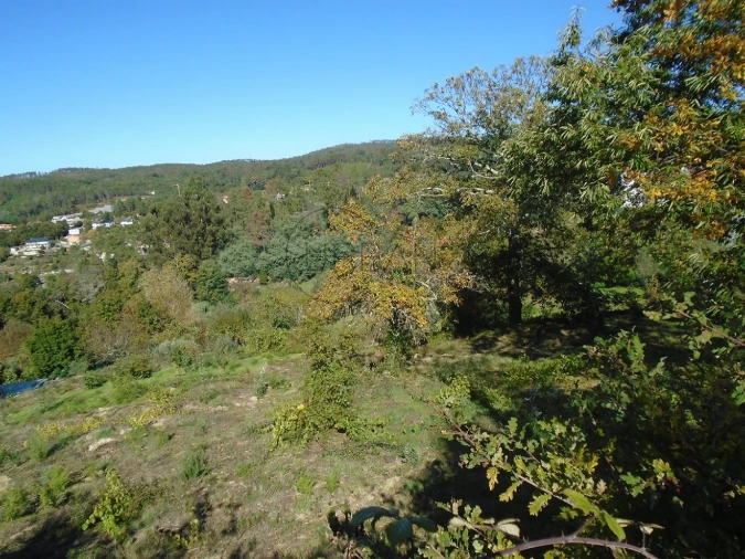 Terreno para Venda em Orgens Foto 4