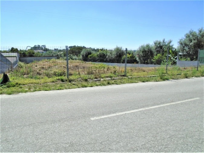 Terreno para Venda em Faíl e Vila Chã de Sá Foto 2