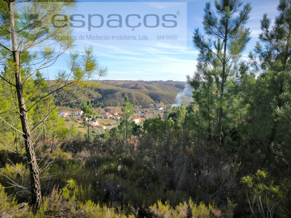 Terreno para Venda em Sobreira Formosa e Alvito da Beira Foto 1