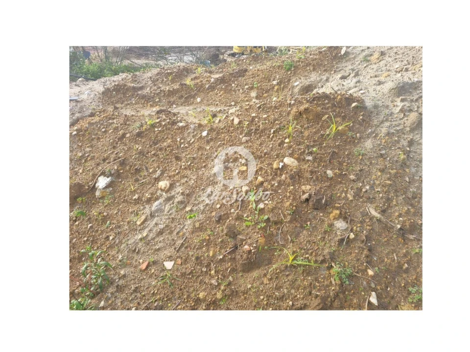 Terreno para Venda em Galegos (Santa Maria) Foto 4