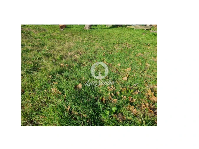 Terreno para Venda em Galegos (Santa Maria) Foto 3