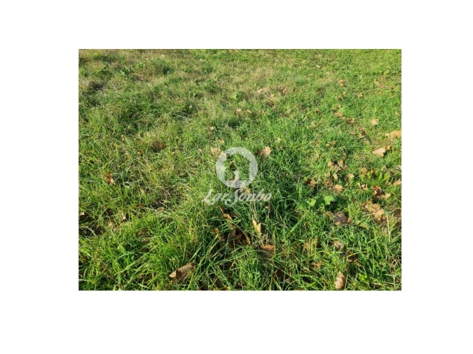 Terreno para Venda em Galegos (Santa Maria) Foto 5