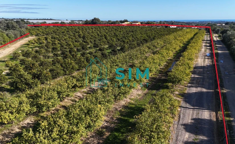 Terreno para Venda em Moncarapacho e Fuseta Foto 6
