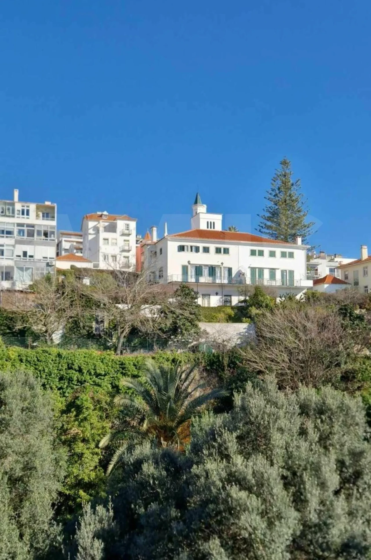 Apartamento T1 para Arrendamento em Algés, Linda-A-Velha e Cruz Quebrada-Dafundo Foto 8