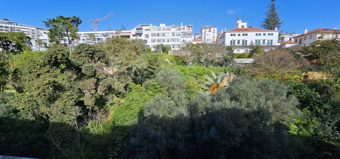 Apartamento T1 para Arrendamento em Algés, Linda-A-Velha e Cruz Quebrada-Dafundo Foto 3