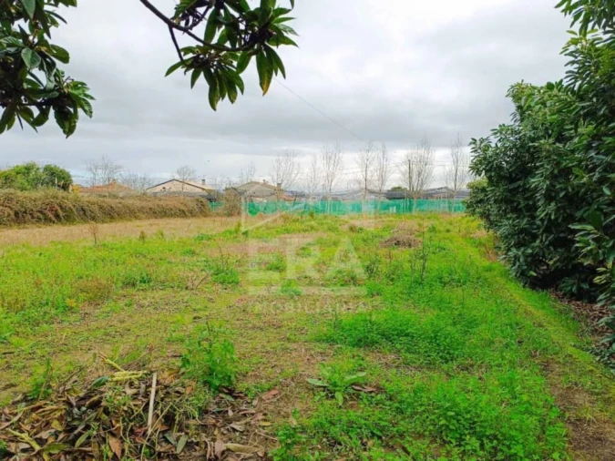 Moradia T3 para Venda em Bustos, Troviscal e Mamarrosa Foto 18