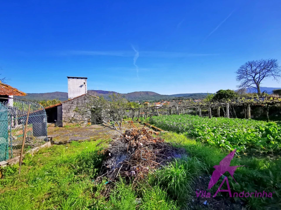 Moradia T4 para Venda em Ancora Foto 40