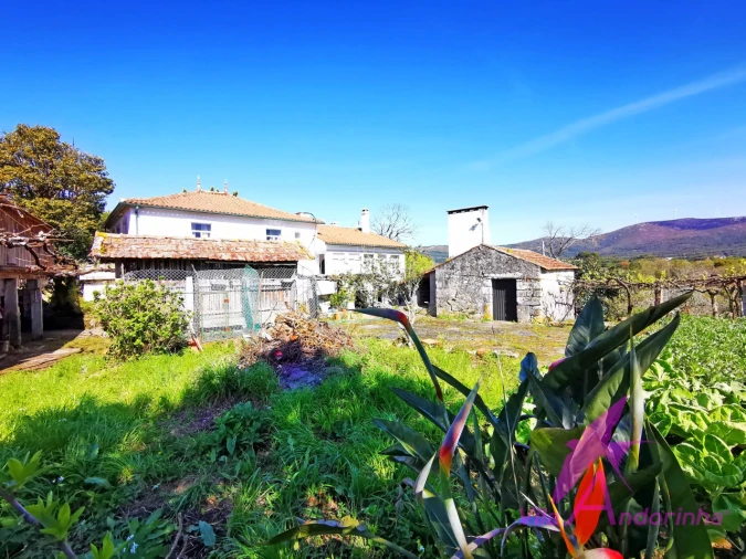 Moradia T4 para Venda em Ancora Foto 74