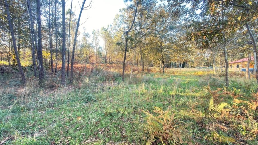 Terreno para Venda em São Pedro de Arcos Foto 4