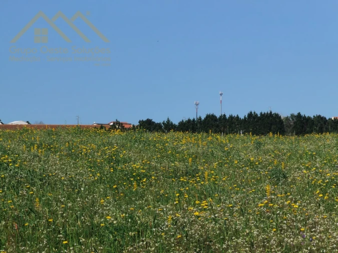 Terreno Agricola ou Rústico para Venda em Campelos e Outeiro da Cabeça Foto 10