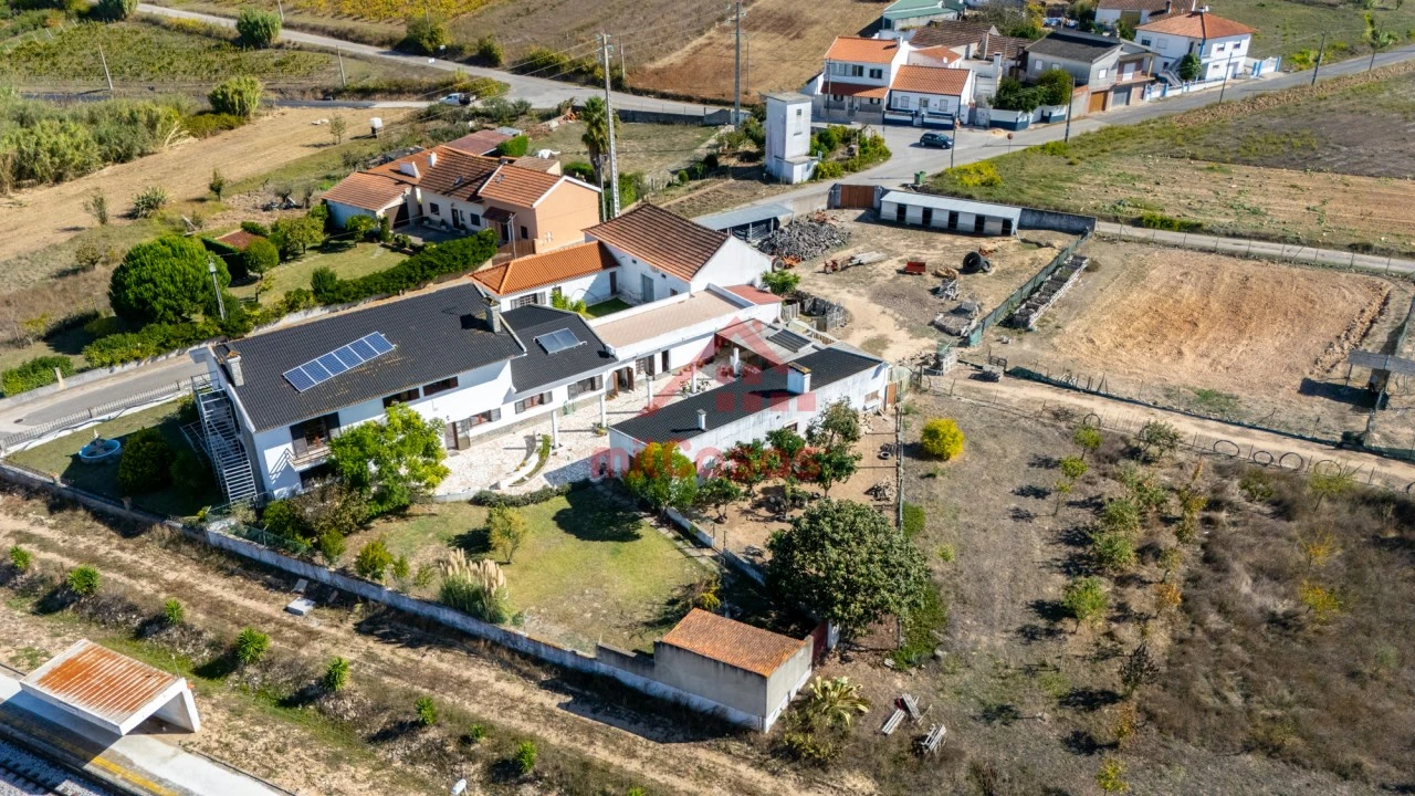 Quinta T7 para Venda em Usseira Foto 11
